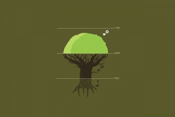 Vector illustration of the life cycle of a tree