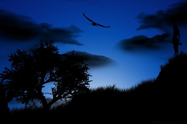 Un pájaro sobre la tierra oscura vuela