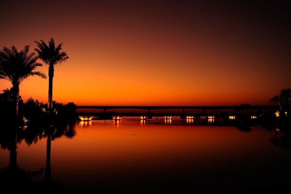 Photo of a scarlet sunset with palm trees and water