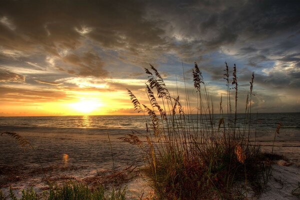 Die Landschaft zeigt den Sonnenuntergang, den Strand und die Wellen