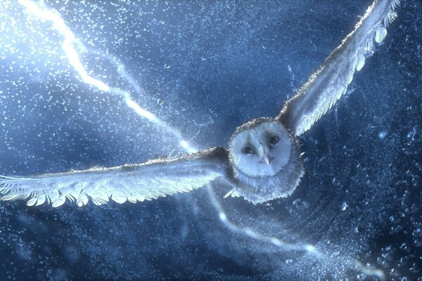 Science fiction owl in space Milky Way