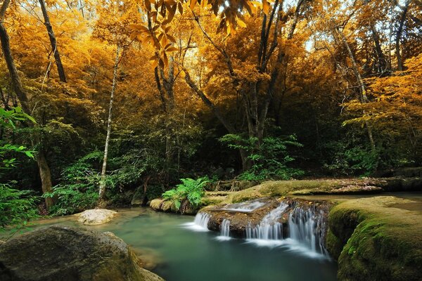 Wald Wasserfall goldener Herbst