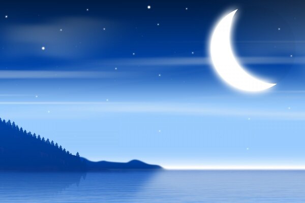 Vector graphics moonlit night