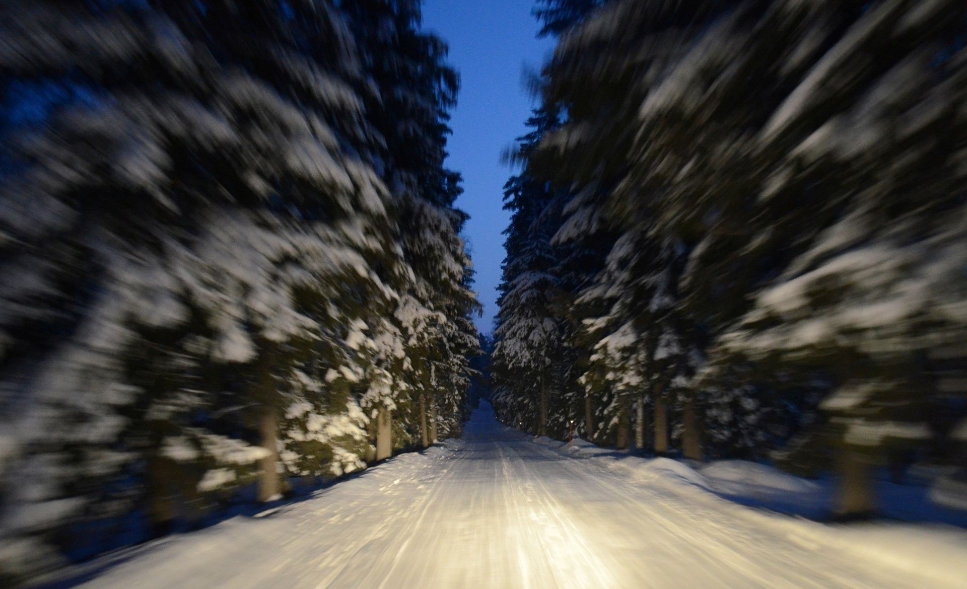 plantas nieve invierno frío madera paisaje árbol hielo escarcha naturaleza carretera buen tiempo viajes congelado al aire libre guía escénico tiempo luz