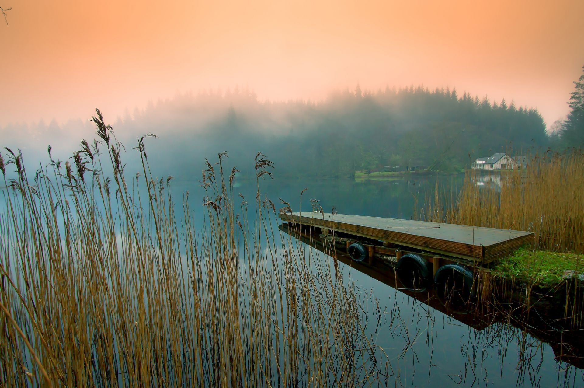 rivières étangs et ruisseaux étangs et ruisseaux eau aube coucher de soleil lac nature réflexion soleil paysage brouillard ciel à l extérieur voyage brouillard crépuscule été lumière rivière arbre