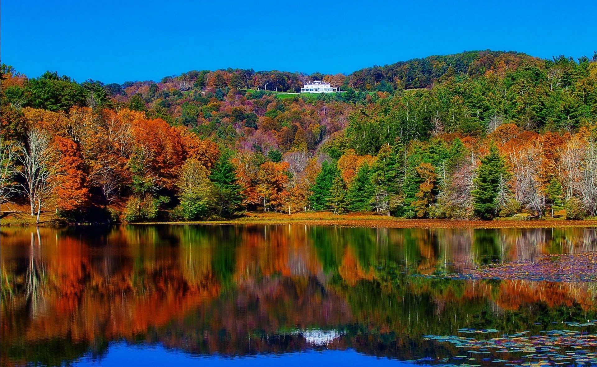 lake water fall nature landscape reflection wood outdoors tree river scenic sky leaf travel pool composure beautiful park scenery