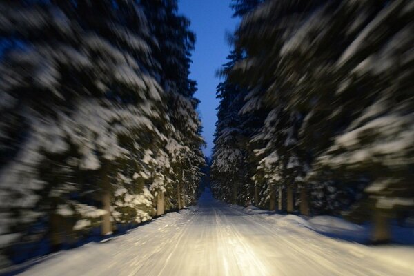 Mit hoher Geschwindigkeit durch den Winterwald fahren. Winterwald im Licht der Autoscheinwerfer