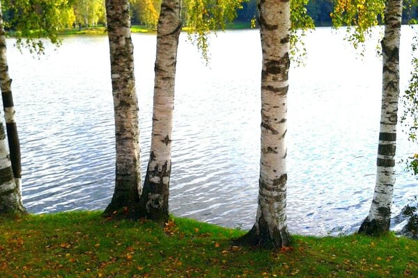 Hermosa naturaleza y lago limpio