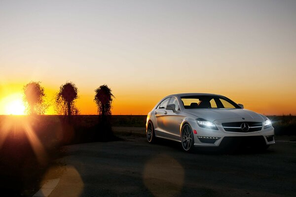 Gray car on the background of sunset and three trees