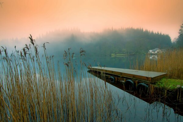 Nebbiosa mattina presto sul fiume mattina