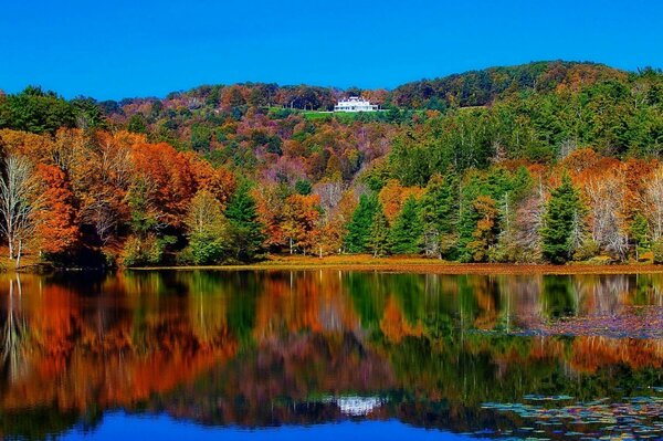 Lake surface against the background of autumn colors