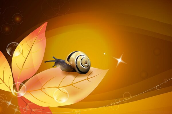 Happiness, snail, orange leaves