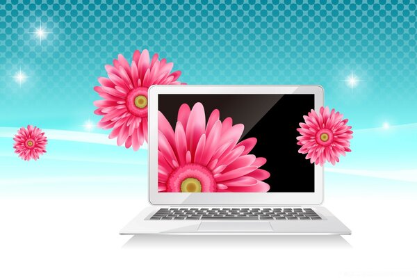 Laptop auf blauem Hintergrund mit rosa Gerbera