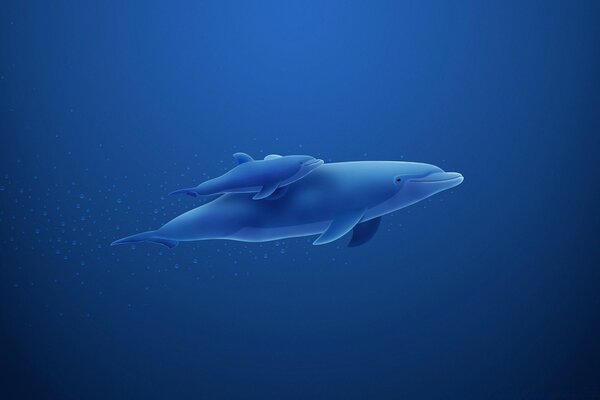 Vector graphics. Two dolphins