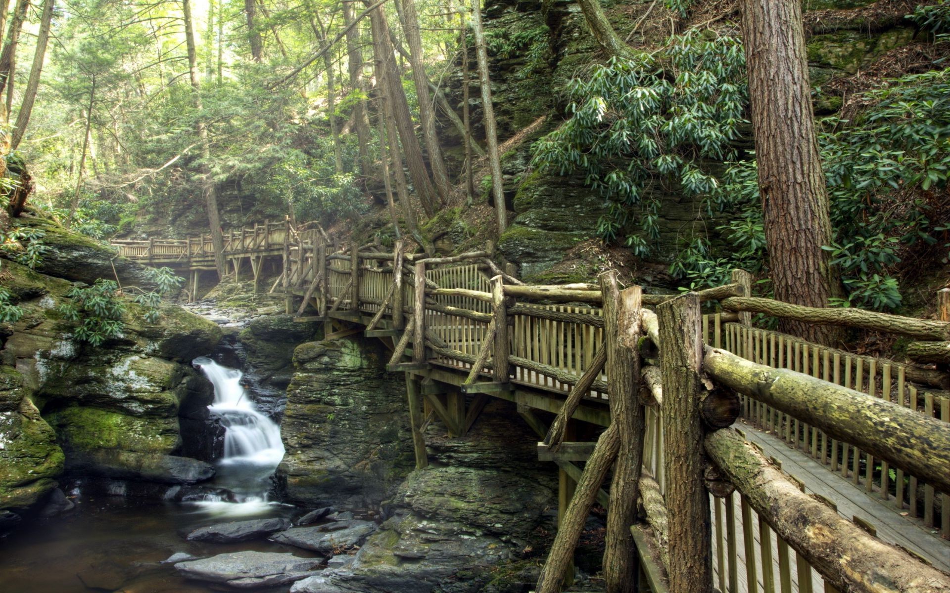 parks holz natur wasser baum fluss blatt brücke park dschungel regenwald reisen tropisch im freien landschaft wild umwelt strom wasserfall