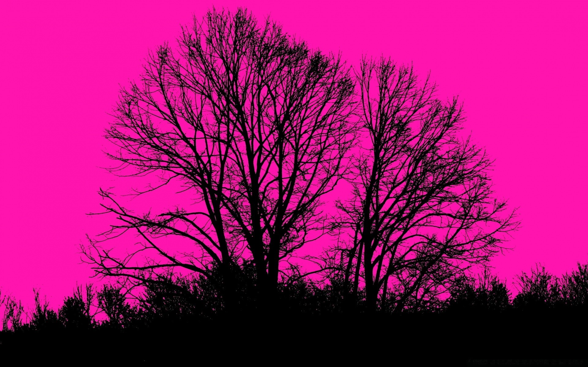 vektorgrafik baum landschaft zweig natur silhouette desktop holz saison blatt dämmerung herbst hell hinterleuchtet nebel