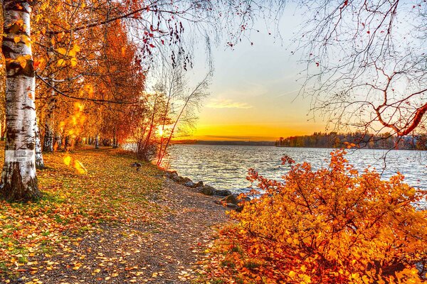 Autumn landscape on the background of a golden sunset