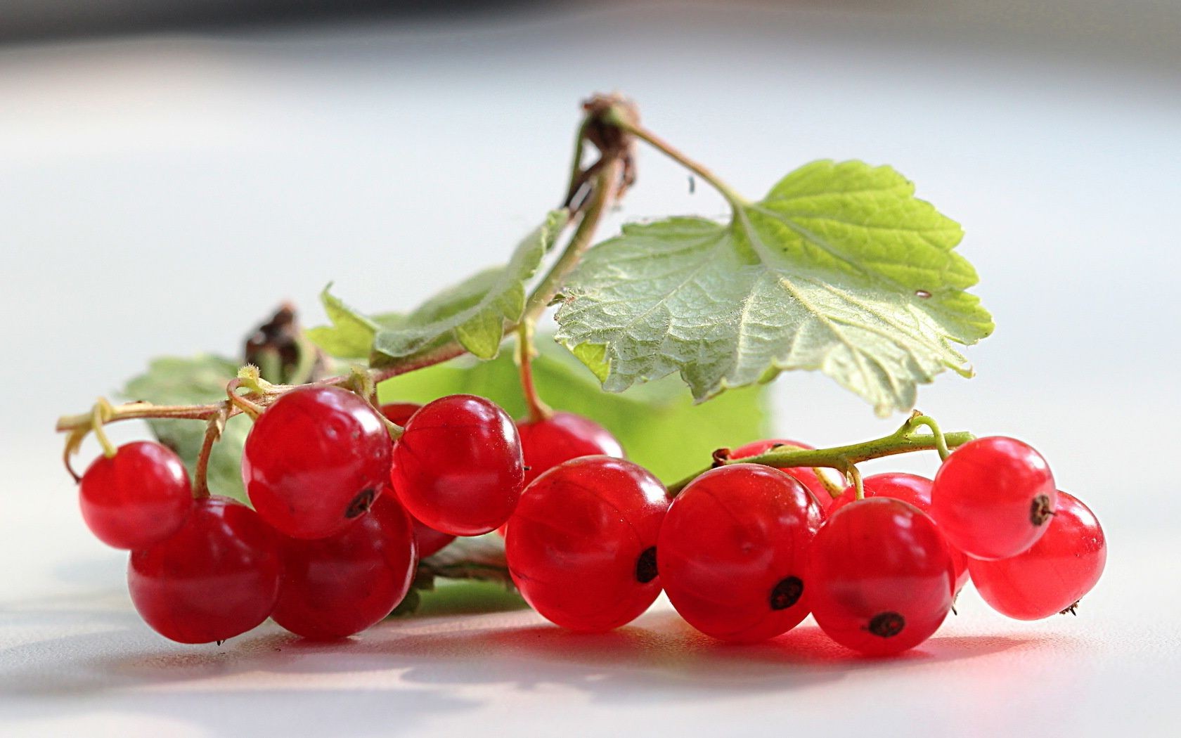 bagas baga frutas suculento comida saudável delicioso folha delicioso saúde comida dieta groselhas confeitaria doce crescer vitamina pilha natureza azedo