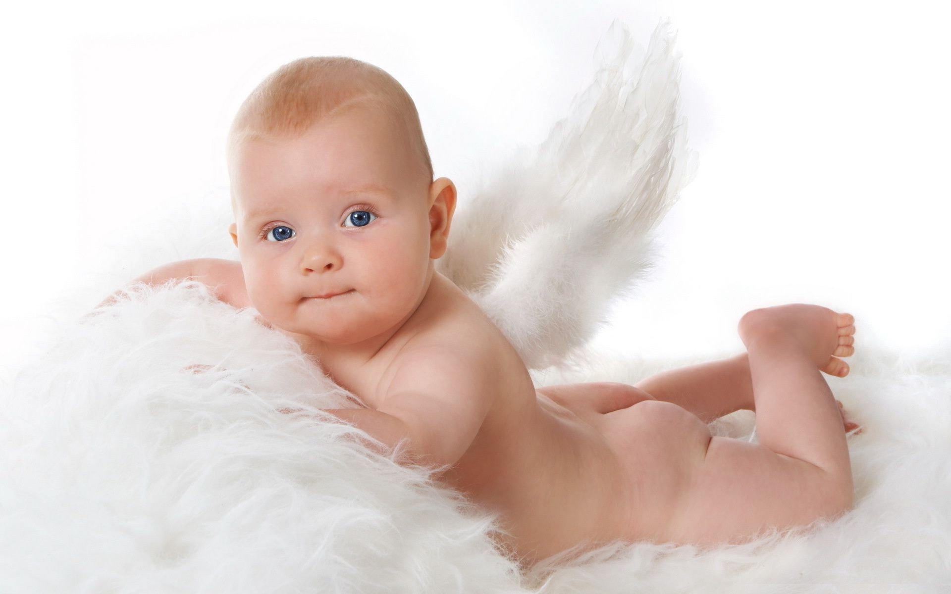 White background baby  angel  Baby  Phone wallpapers 