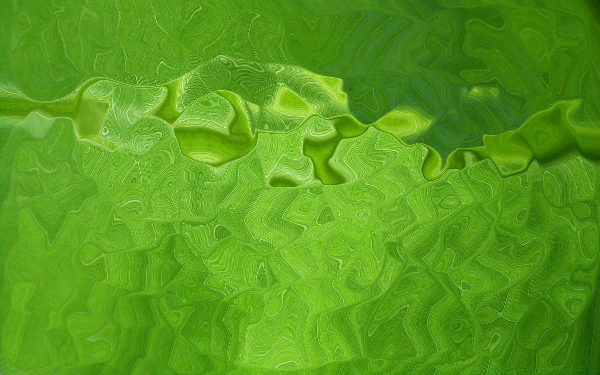 couleurs vives bureau résumé texture modèle feuille eau conception couleur art fond d écran fond graphique