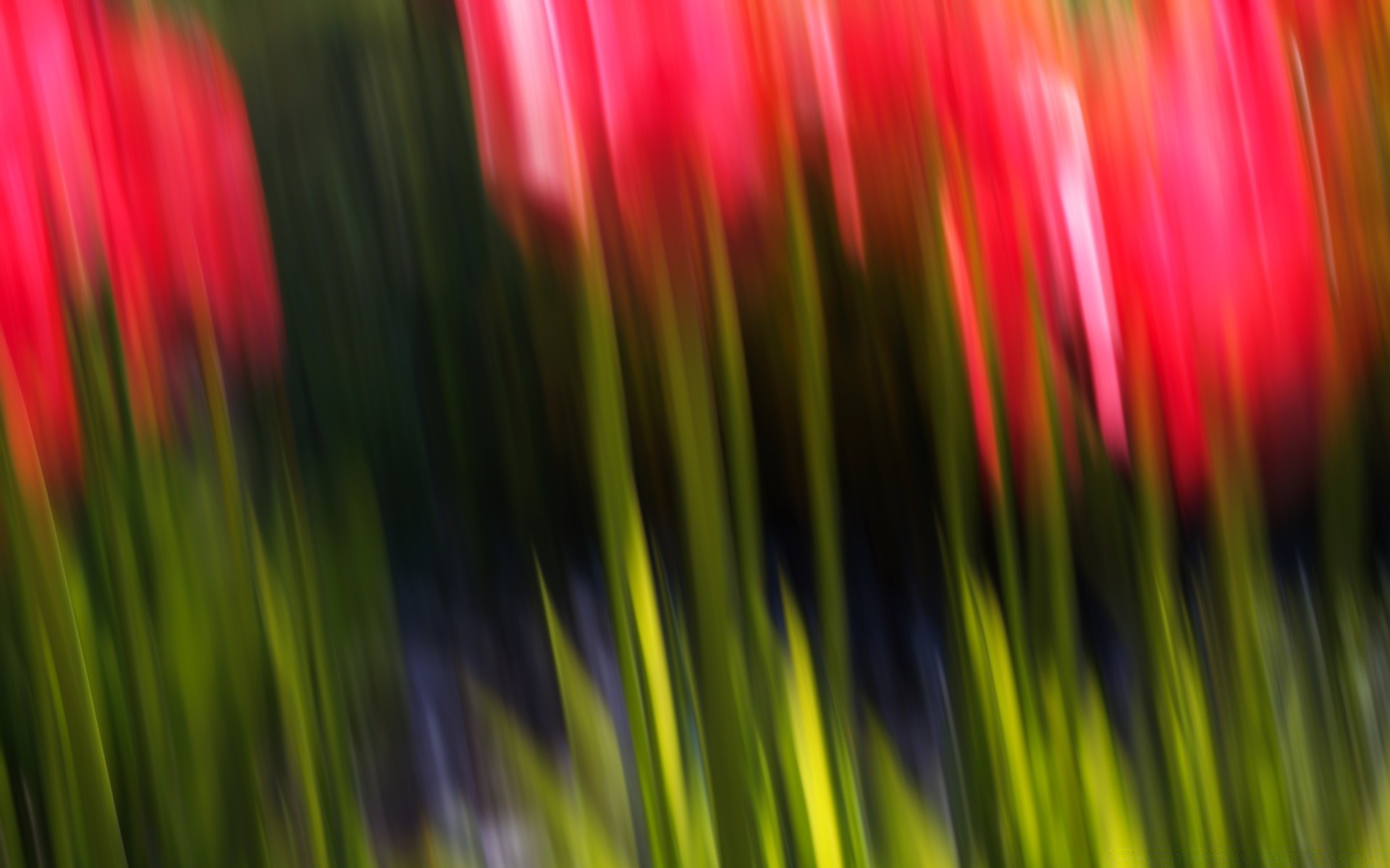 bright colors bright abstract blur color art design