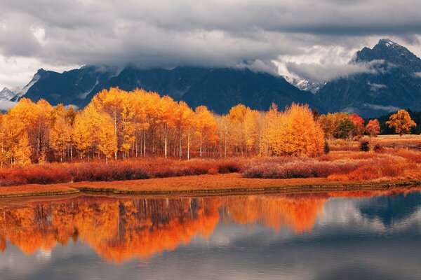 Autumn forest between mountains and lake