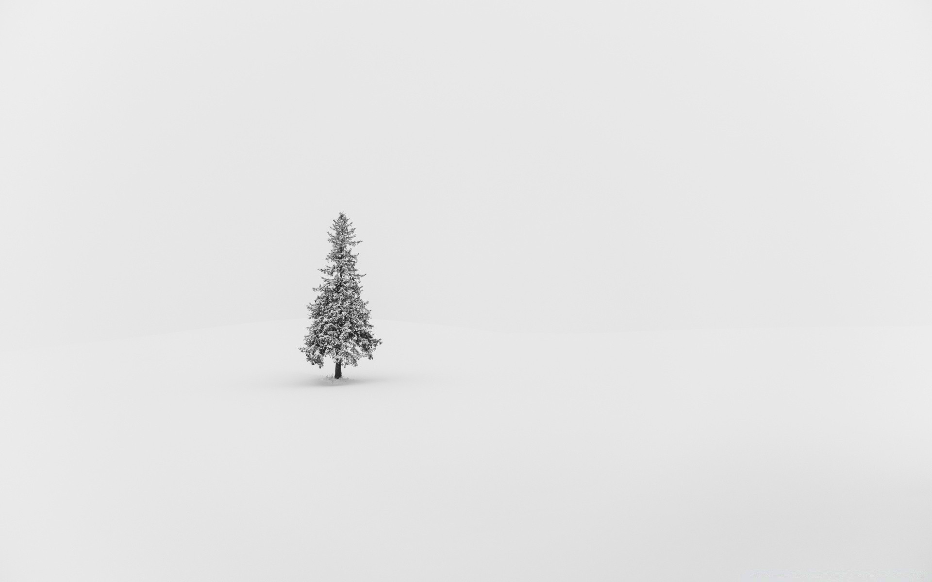 white winter snow christmas tree cold fog landscape nature frost bird ice sky frozen wood outdoors art