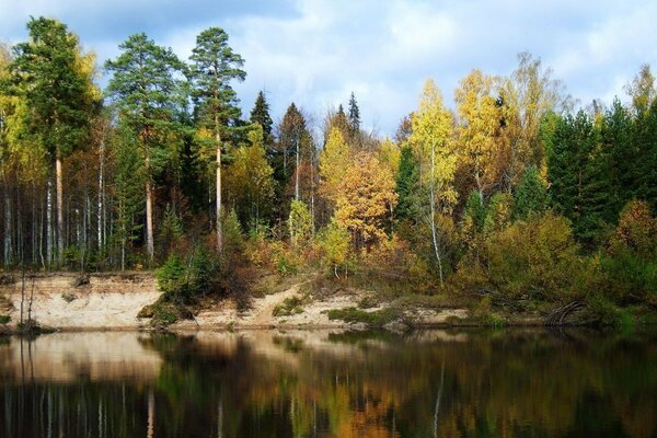 La foresta autunnale si riflette nell acqua