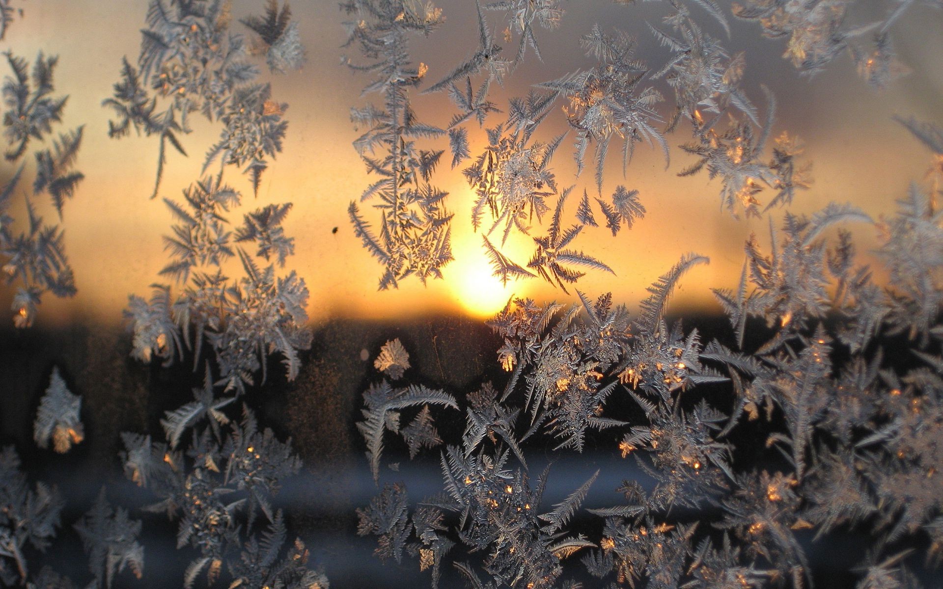 glas holz desktop winter weihnachten kunst im freien licht gold