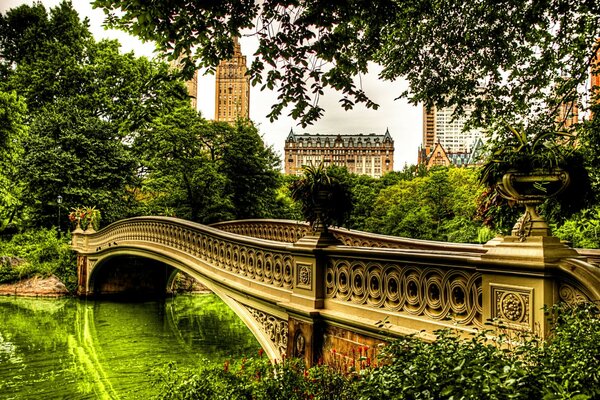 Pont sur la rivière au cœur de la verdure