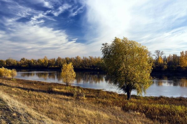 Autumn landscape on the river bank