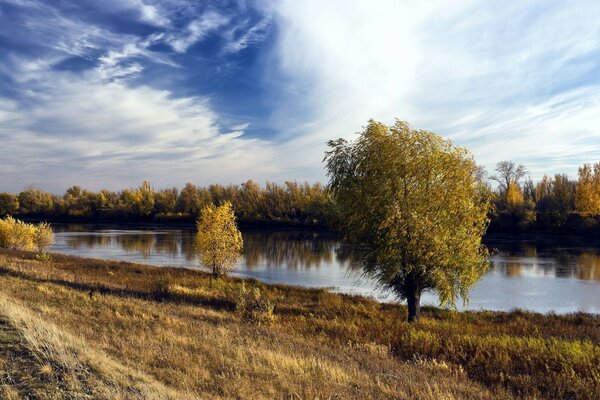 河岸上的秋季景观