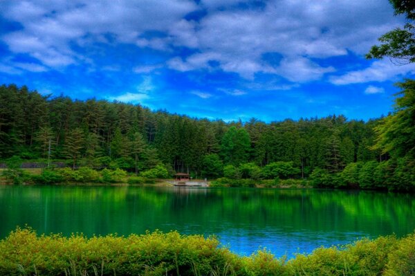 Paisaje lago bosque hierba cielo nubes