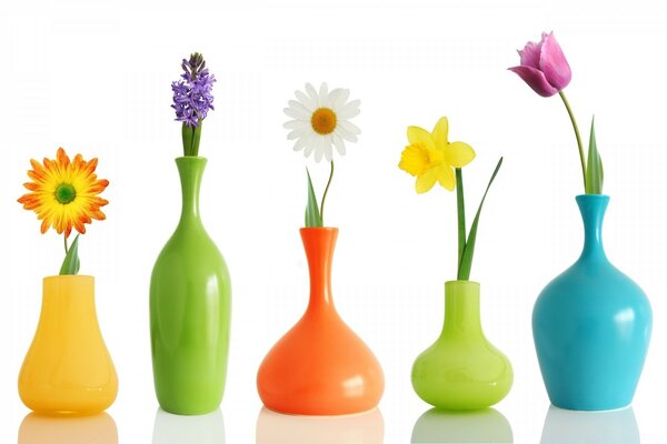 Bright flowers in different vases