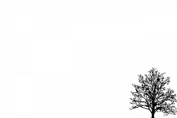 A small black tree on a white background