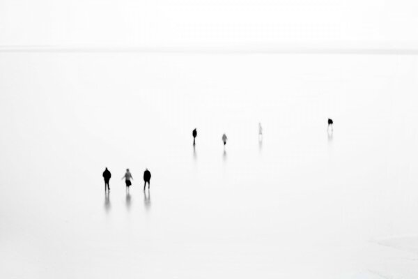 Barely visible silhouettes of seven people on a white background