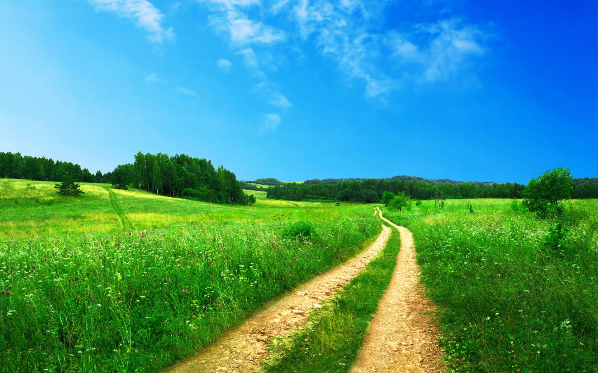 the sunlight and rays rural landscape field grass countryside agriculture nature summer hayfield sky country outdoors soil farm pasture road horizon tree growth