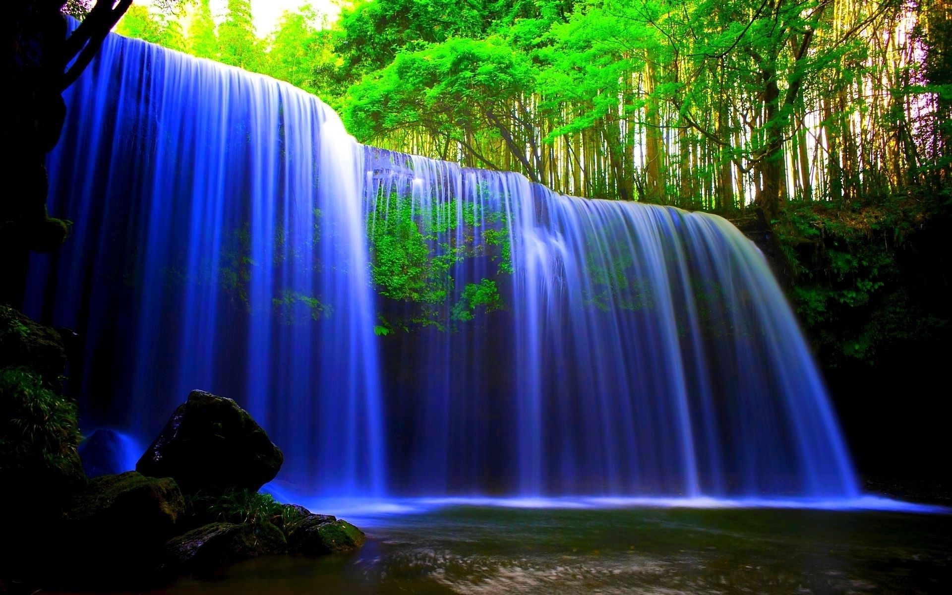 neón cascada agua naturaleza corriente movimiento río madera desenfoque flujo