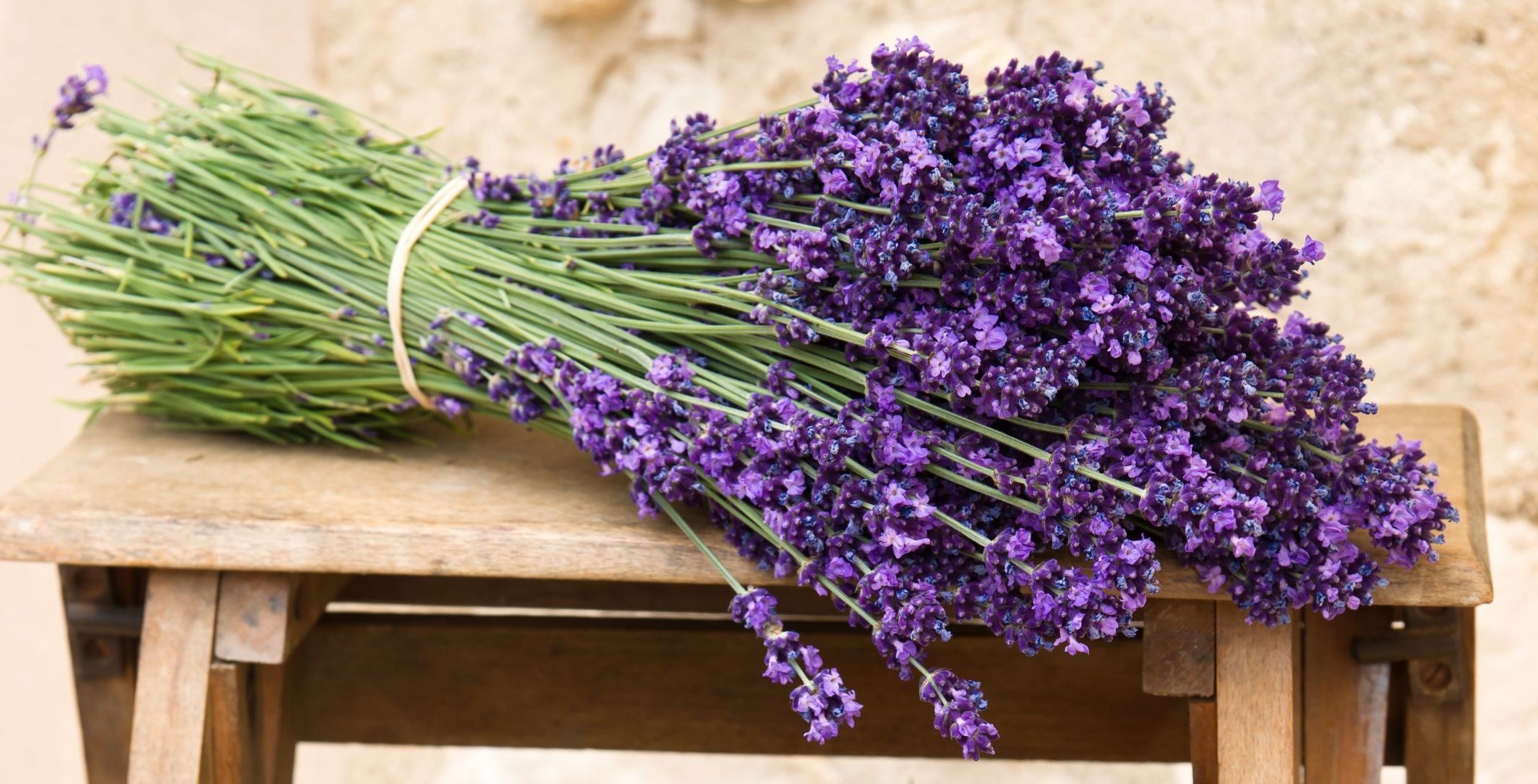 flores aromaterapia lavanda flor perfume flora aromático a base de hierbas medicina naturaleza racimo fragante hierbas jardín ramo violeta