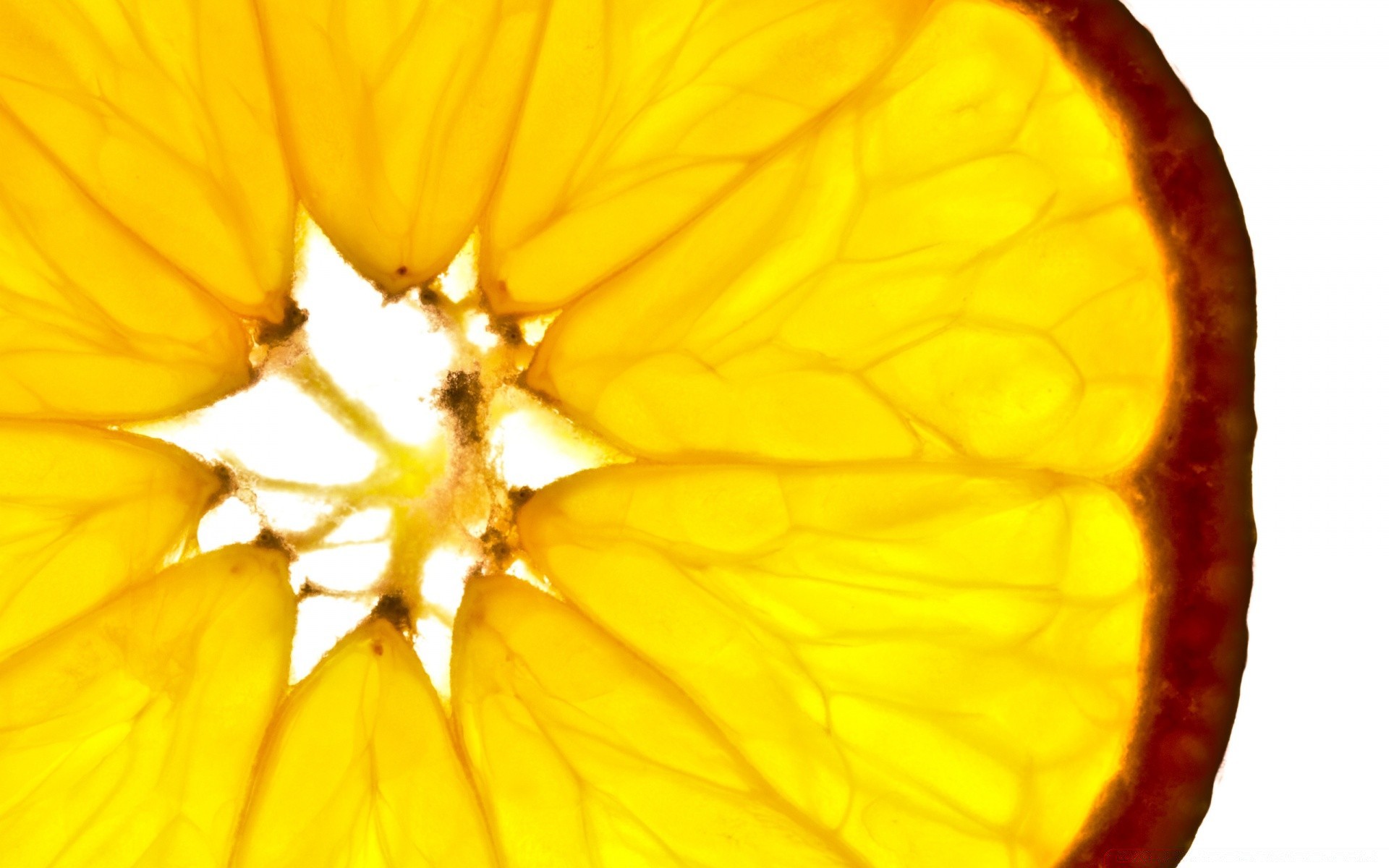 weiß natur desktop farbe essen isoliert sommer hell gebäck flora