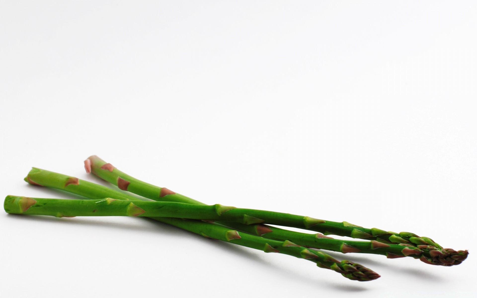 blanc nature asperges grandir feuille alimentaire cuisine isolé légume nature morte découpe flore