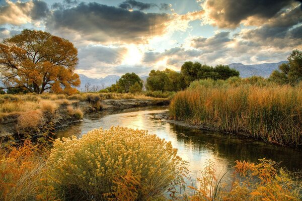 En el paisaje, la naturaleza de los ríos y estanques