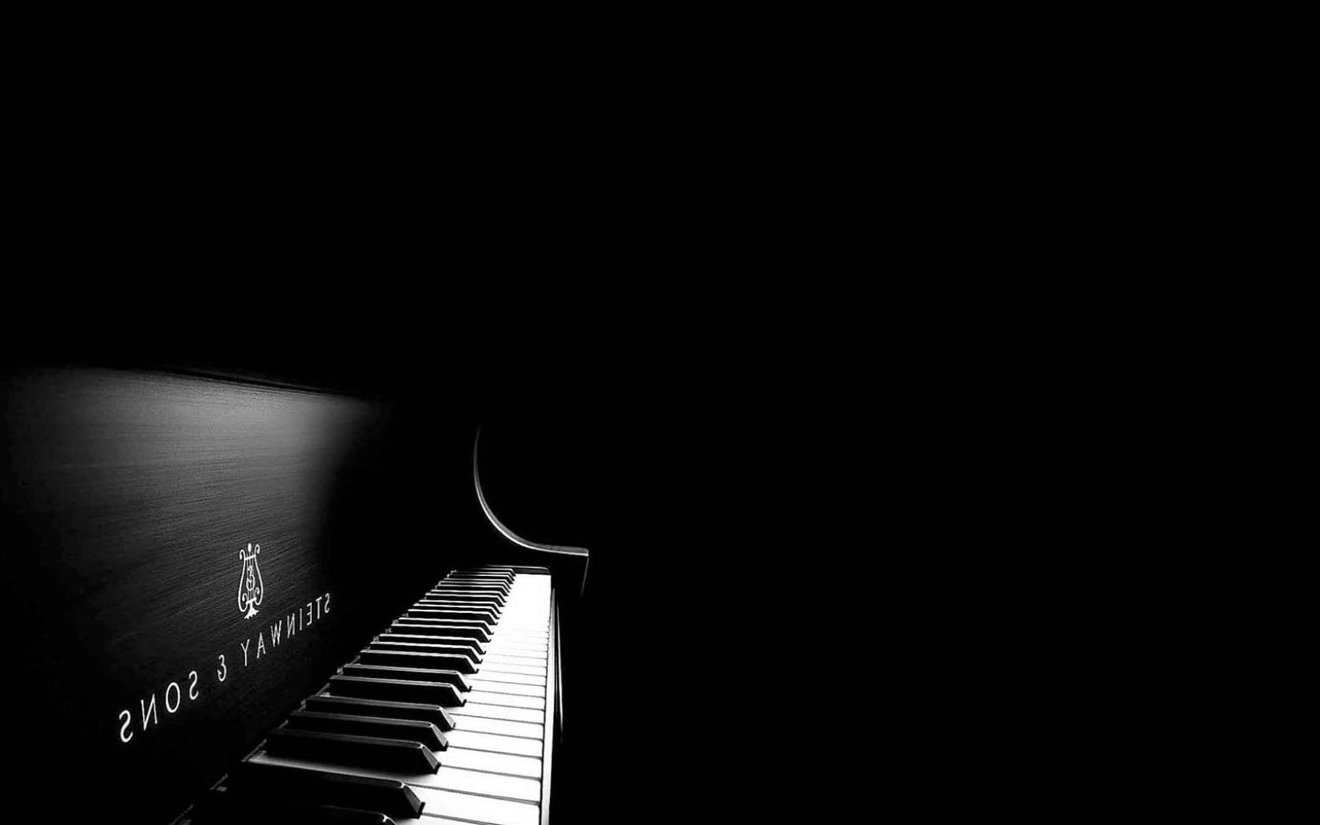 strumenti musicali pianoforte scuro jazz ebano strumento musica gatto monocromatico arte concerto suono classico studio artistico pianista sintetizzatore armonia astratto acustico