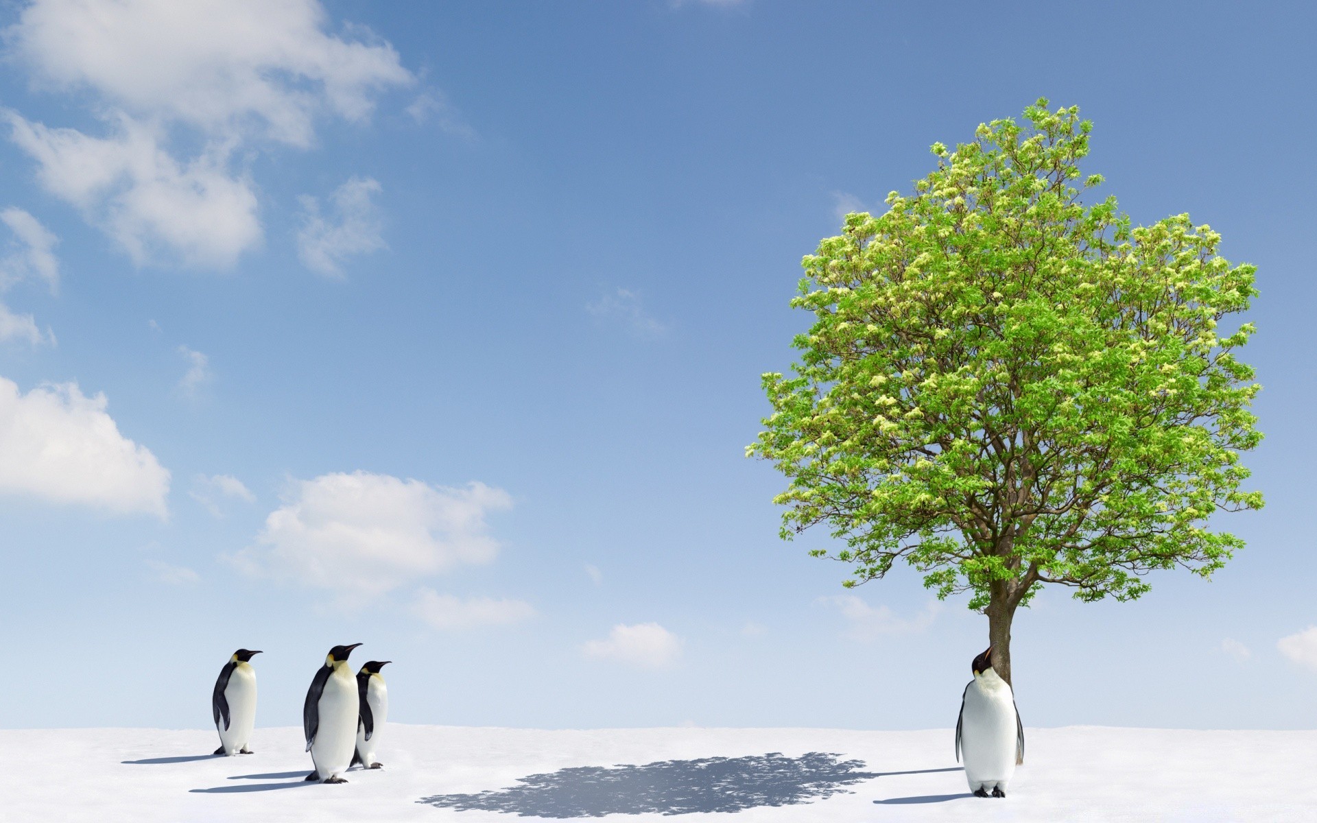 penguin snow nature winter cold outdoors tree ice frosty sky bird water
