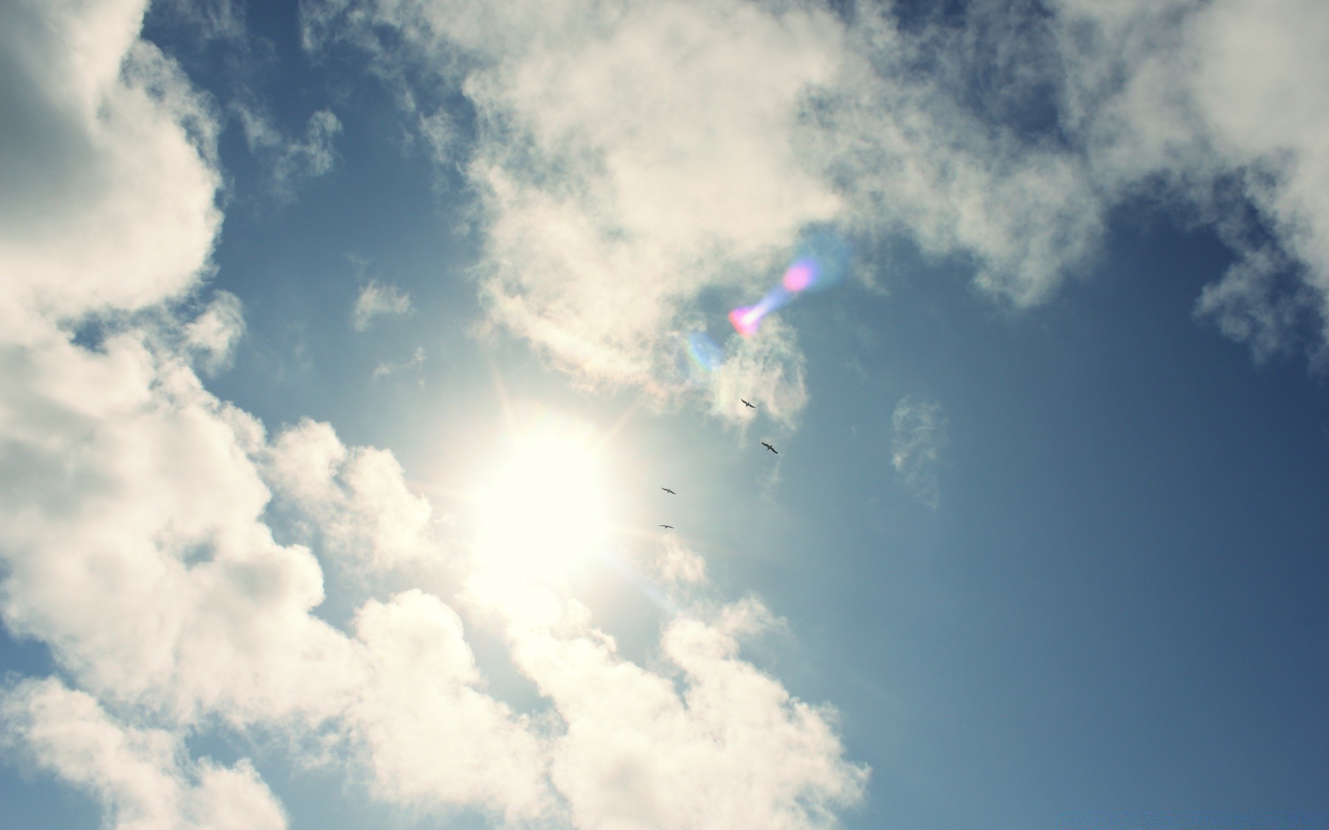 vögel himmel luft freiheit sonne tageslicht hoch gutes wetter wetter licht wolke flugzeug im freien wind himmel natur sommer landschaft raum farbe