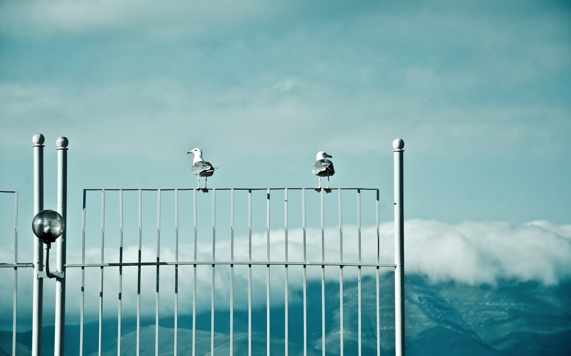 möwe himmel technologie macht strom energie umwelt zaun im freien industrie landschaft licht reisen