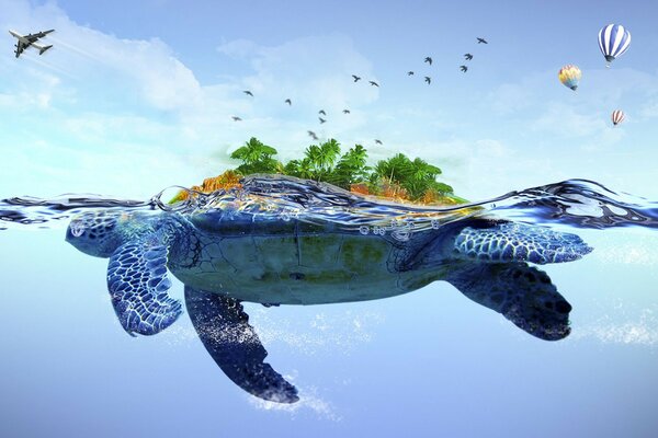 A huge sea turtle swims in the water