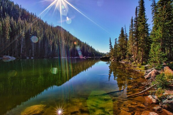 Lago cristalino rodeado de bosque