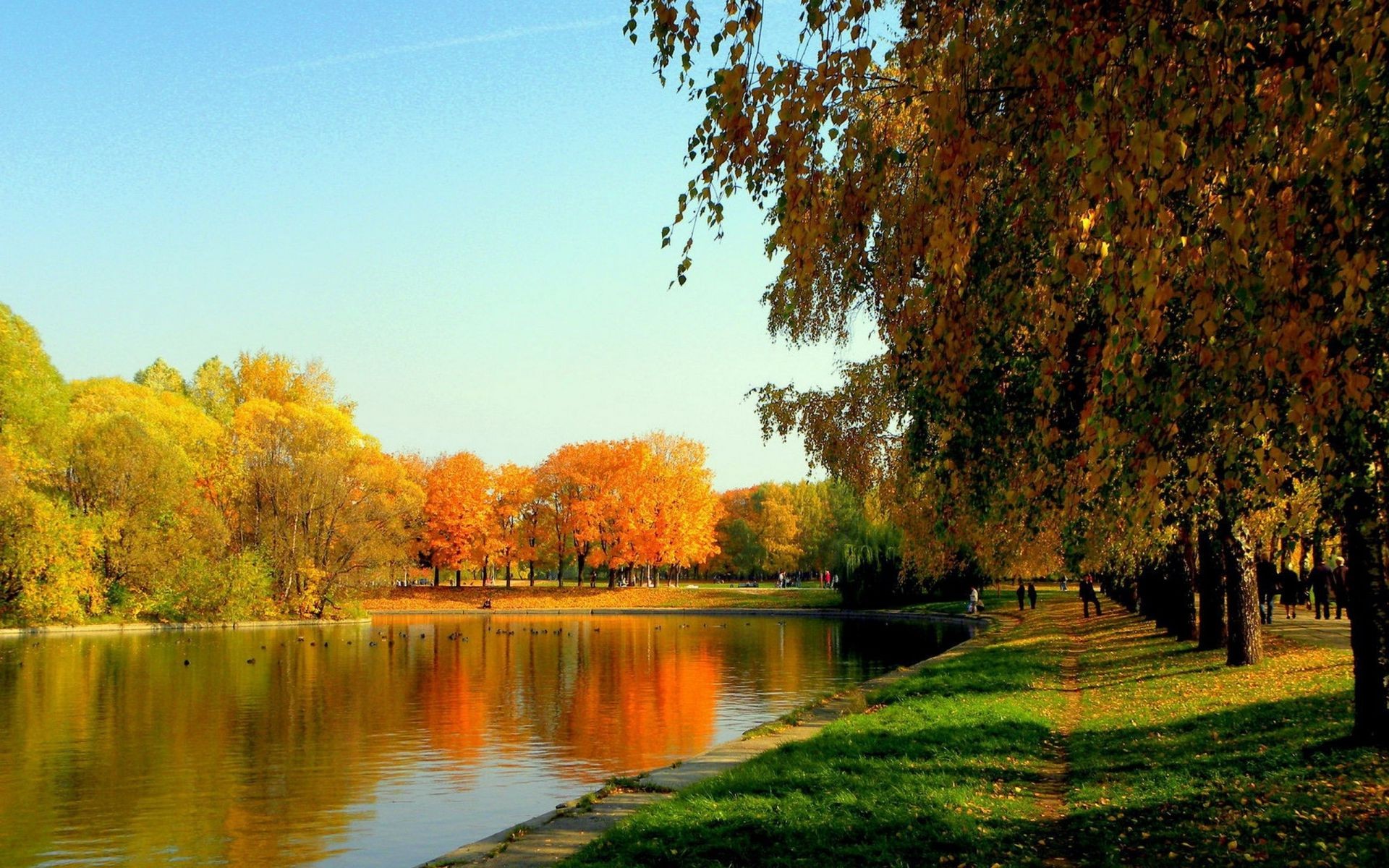 rivers ponds and streams fall tree nature leaf lake landscape park wood outdoors river season dawn reflection water grass pool fair weather composure sky