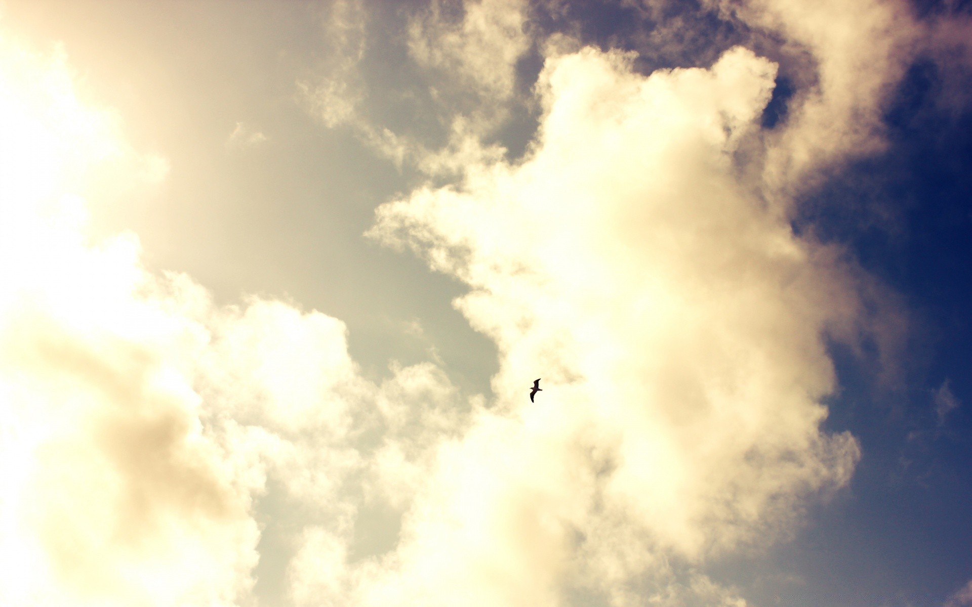 aves cielo sol naturaleza buen tiempo tiempo luz al aire libre paisaje alto cielo brillante espacio viento meteorología verano abstracto luz del día